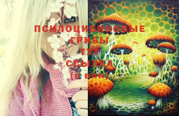 ешки Навашино